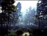 Low poly foliage pack