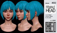 Female Anime Head 2