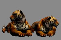 big tiger