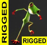 Frog 3D Model