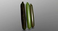Zucchini