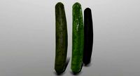 Cucumber