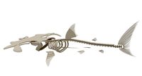 Hammerhead Shark Skeleton