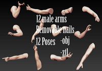 12 Male Arms