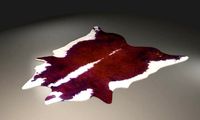 Natural Cow Skin Hides Fur and Leather Rug