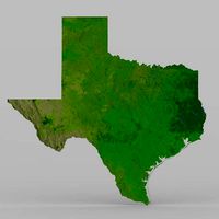 Texas State in 3ds and obj format