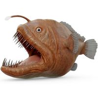 Angler Fish Rigged