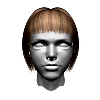 3D Angelica Brown Hair