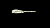 NEOLITHIC SPATULA 3D Model