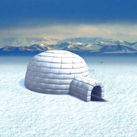 Igloo