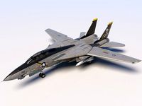 Grumman F-14 Tomcat