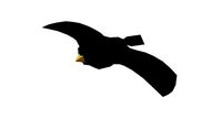 Low Poly Bird - Rigged