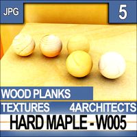 Hard Maple W005 Planks