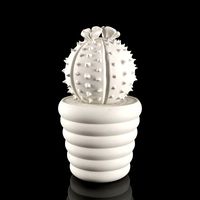 Prickly Melocactus Cactus Ornament in White