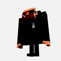 Voxel Bodyguard