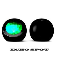 Echo Spot