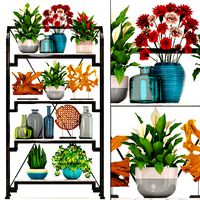 Rack with the decor of figurines and plants