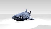 Whaleshark Voronoi