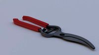 Pruning Sheers