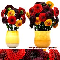 Bouquet of flowers Dahlias