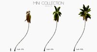 Cocos Nucifera 3698 - Health Collection