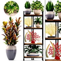 Rack with the decor of figurines and plants