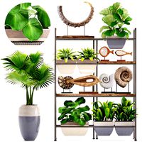 rack with the decor of figurines and plants