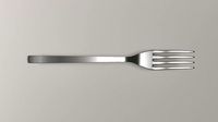 Metallic Fork