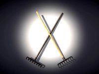 Wooden Rake