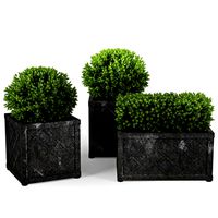 Bushes