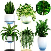 Collection plants