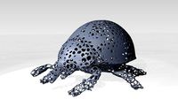 Ladybird Voronoi