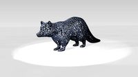 Raccoon Voronoi