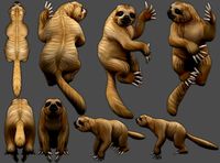 sloth