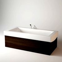 Bathtub Bellevue