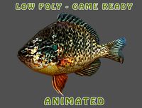 Low poly Redear Sunfish Animated - Game Ready