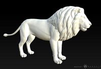 3D Lion