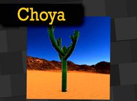 Choya Mexican Desert Plants