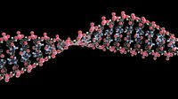 DNA Model -Blender Native-
