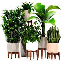 Collection plants