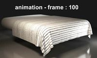 100 Frames Animated Bed Cover