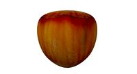Hazelnut 3D model
