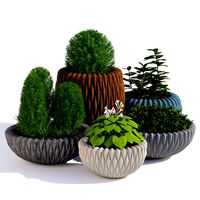 Fluo planters
