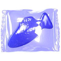 Wrapped Blue Fish model