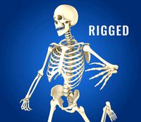 Human Skeleton 3D model