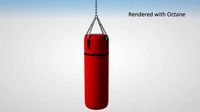 Boxing Bag