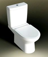 TOILET BOWL