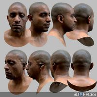 AAA Quality Realistic African American Male Scan