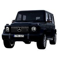 Mercedes-AMG G 63 2018-2019 W464