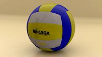 Professional Volley Ball
